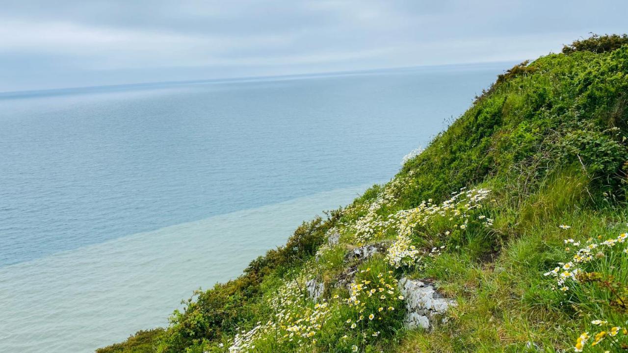 Gordy Hall -Sea Facing Welsh Cottage With Stunning Views بينداين المظهر الخارجي الصورة